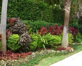 Backyard Landscape Design